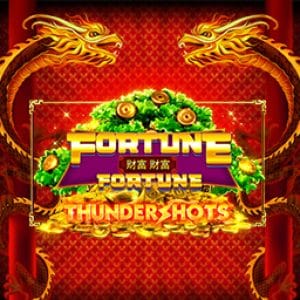 Fortune Thundershots screenshot
