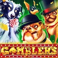 Gamblers screenshot